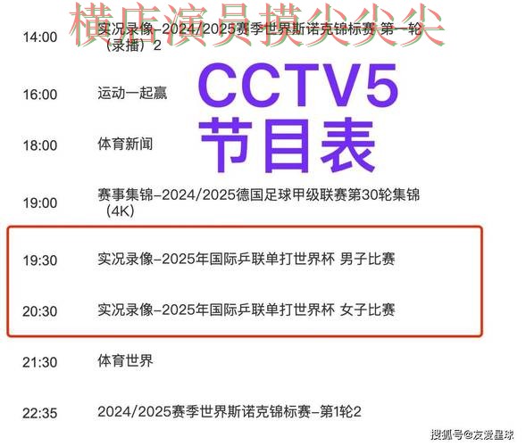 世界杯赛事中心背景下的世界杯买球平台实测对比与安全入口直播解析