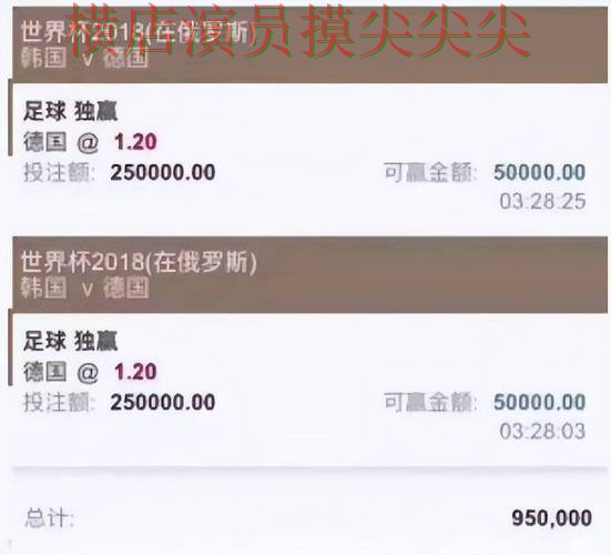 世界杯投注平台推荐哪个好?围绕官网直达做一次全面盘点(世界杯数据)
